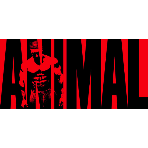 Animal