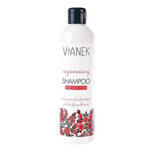 Vianek Regenerating and Moisturizing Shampoo for Dark and Dyed Hair 300ml Best Before 31.03.24