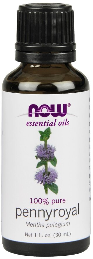 Essential Oil, Pennyroyal Oil - 30 ml.