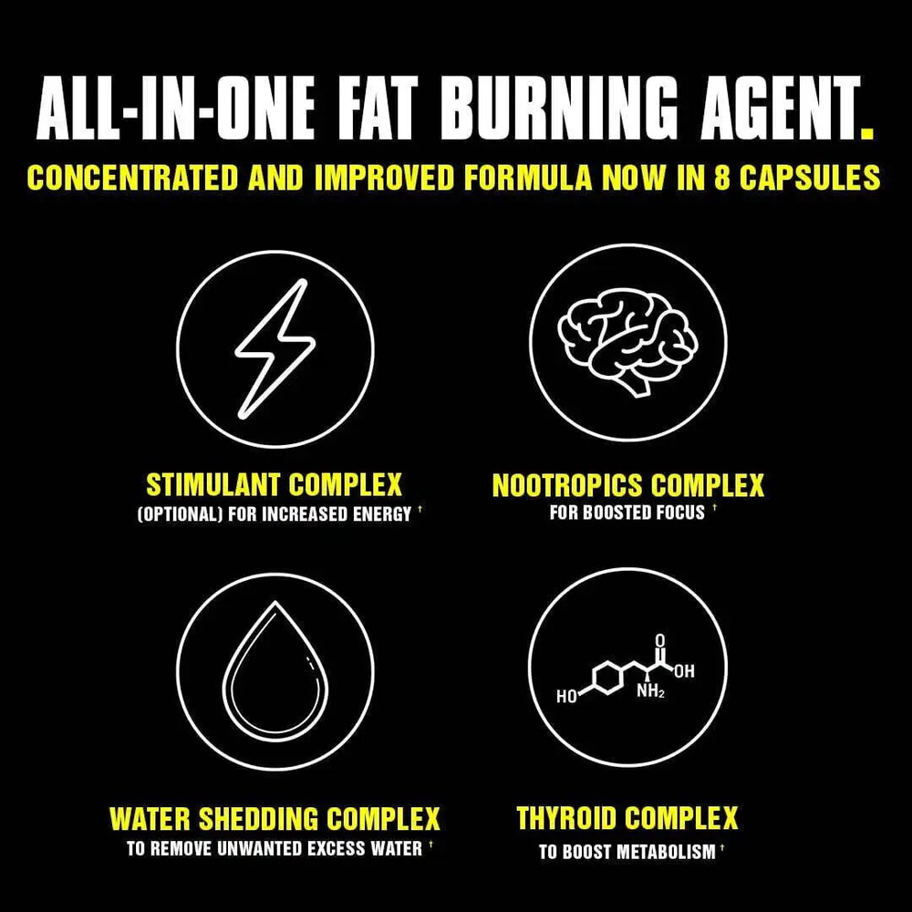 Animal Cuts Packs 42 Pakiety