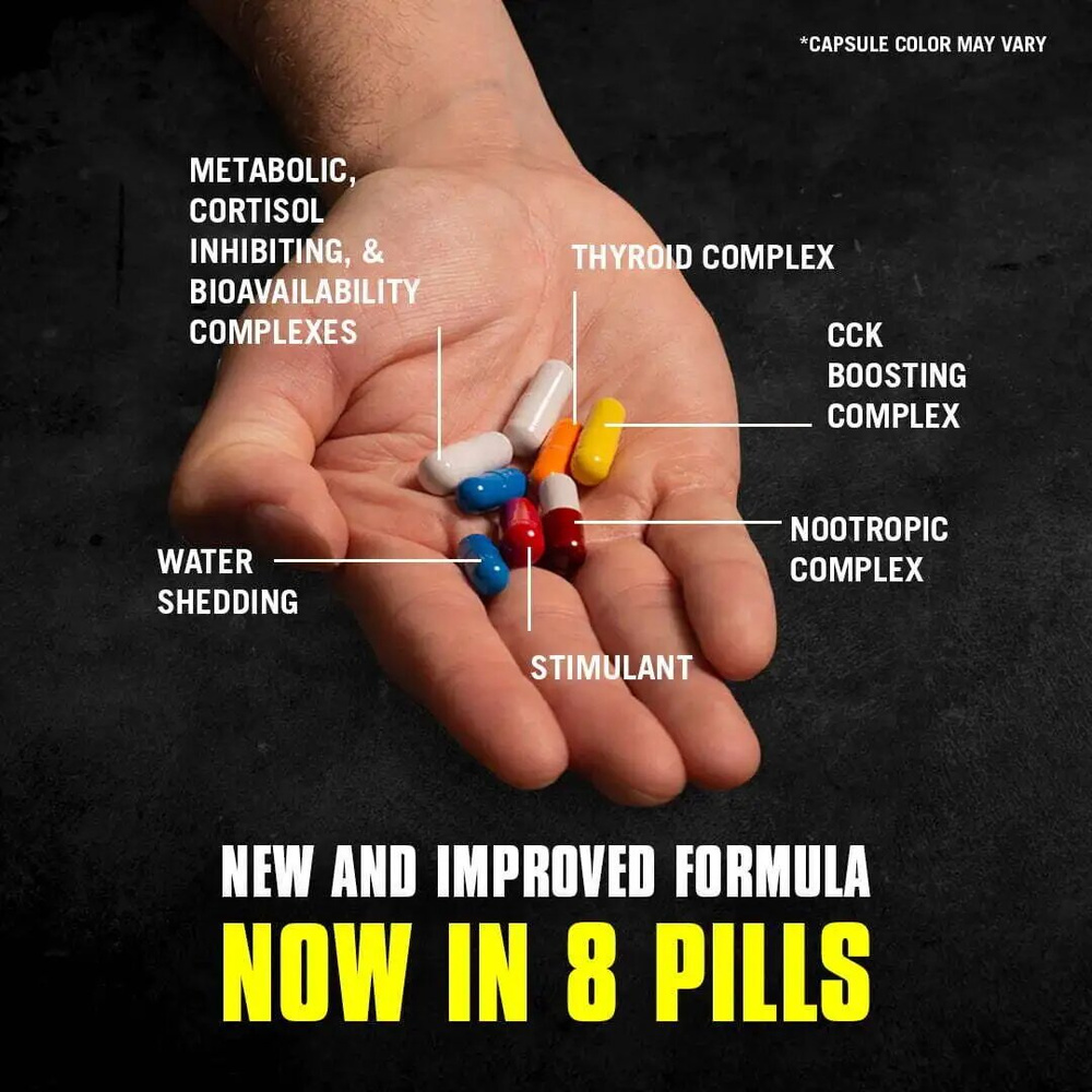 Animal Cuts Packs 42 Packs