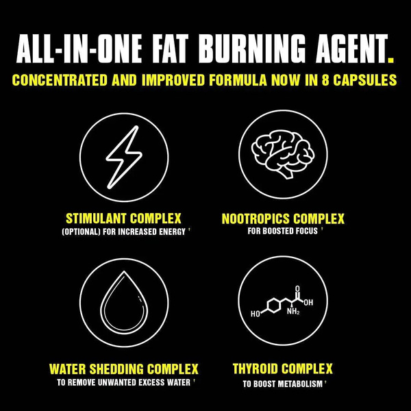 Animal Cuts Packs 42 Pakiety