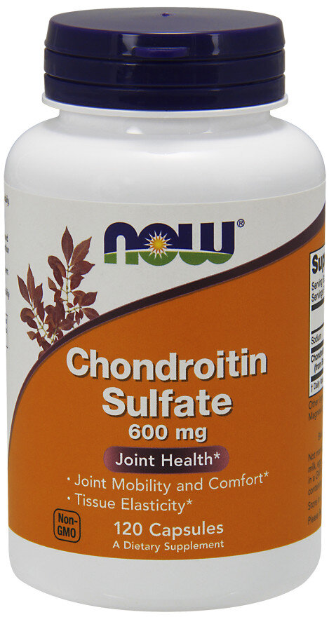 Chondroitin Sulfate, 600mg - 120 caps